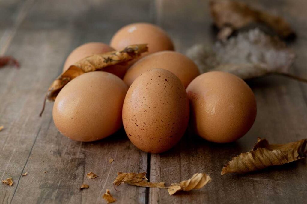 Kvalita vajec