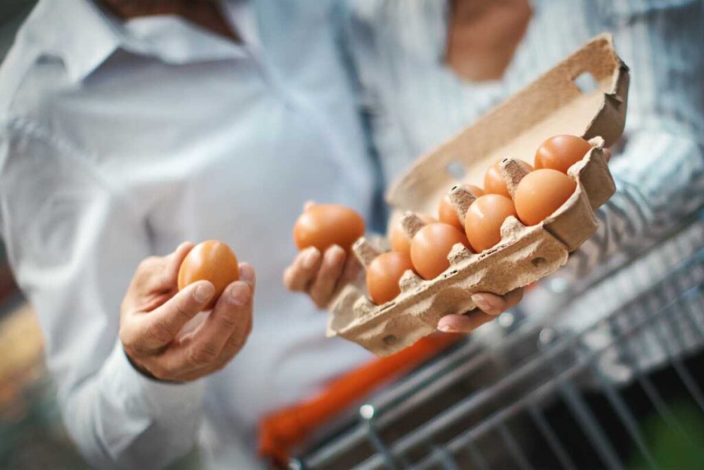 Nákup vajec. Kvalita a na co si dát pozor