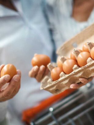 Nákup vajec. Kvalita a na co si dát pozor