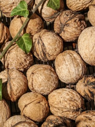 jak skladovat ořechy