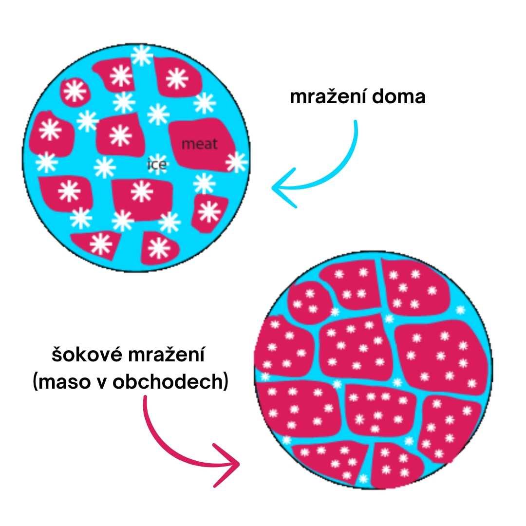 jak zamrazit maso