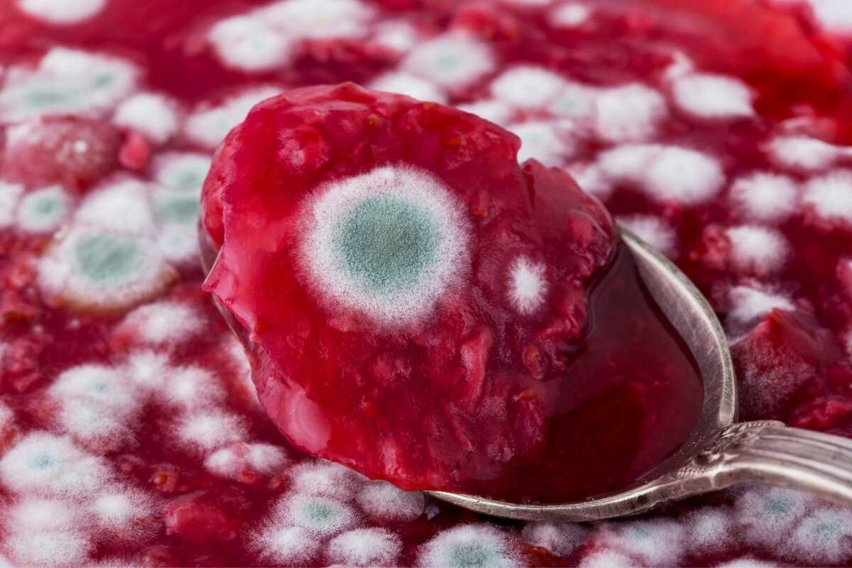 plesniva-marmelada